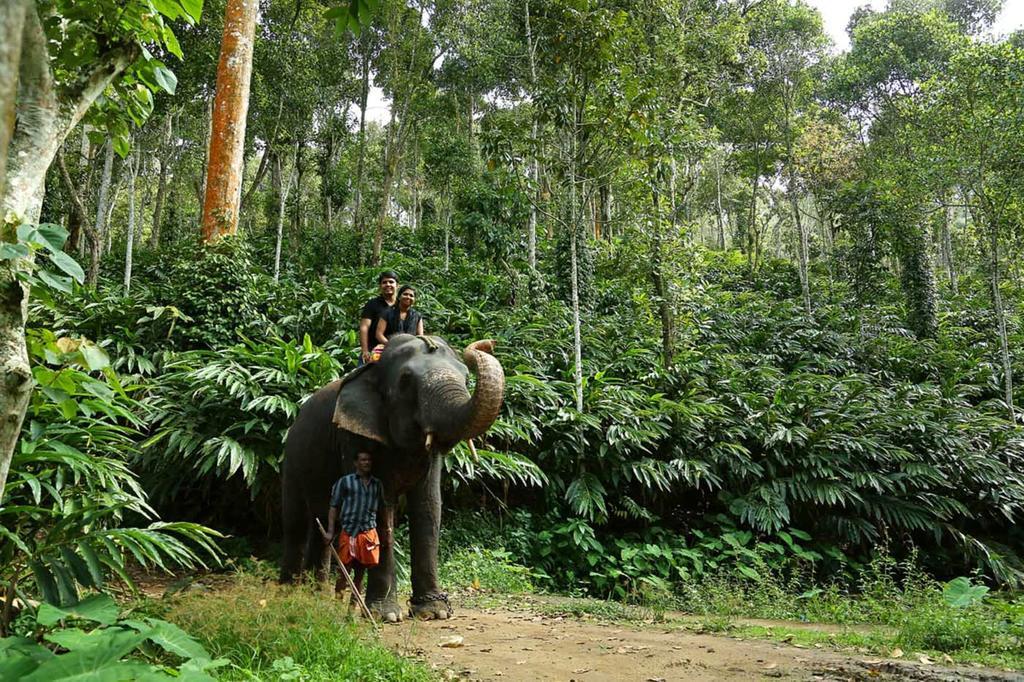 Elephant Court Thekkady Hotel Luaran gambar